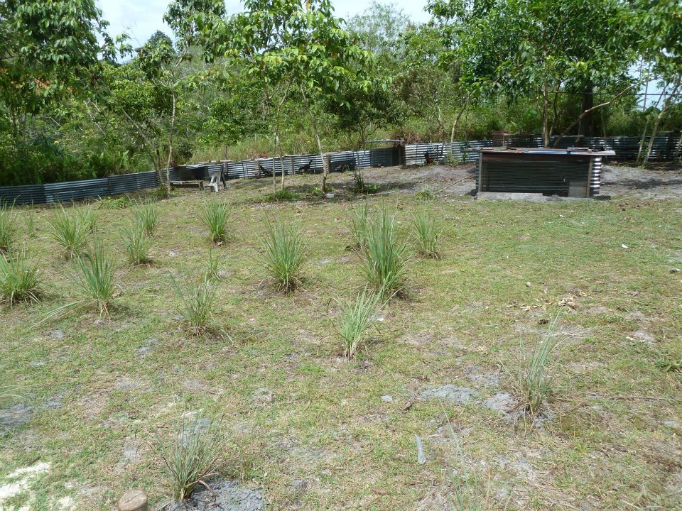 Agriculture Project